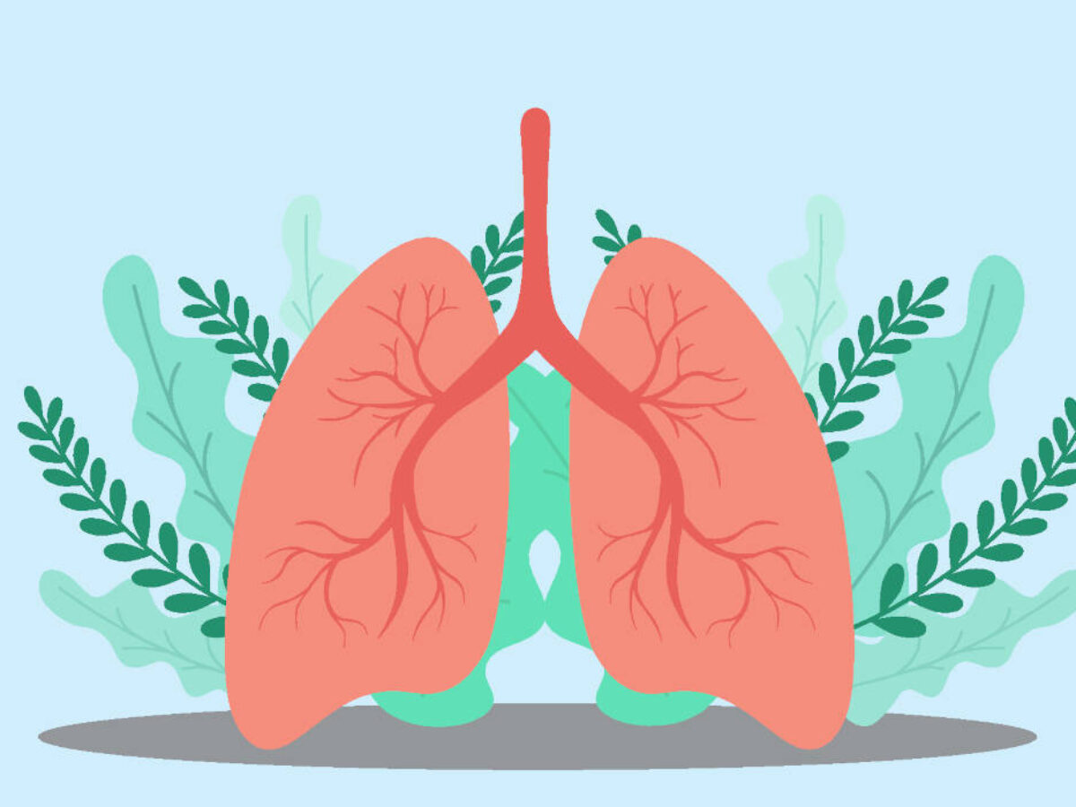 Health Management Basics with PH