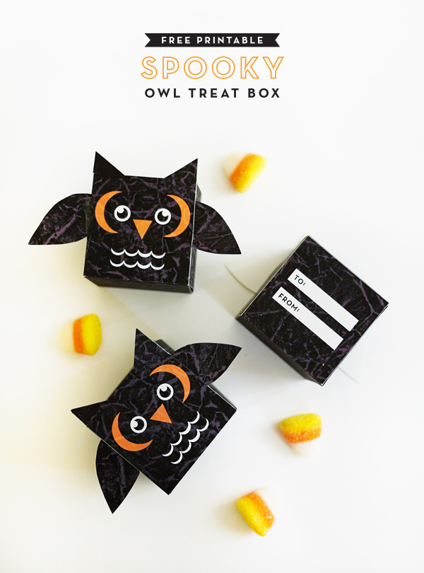 1_owl_treatbox