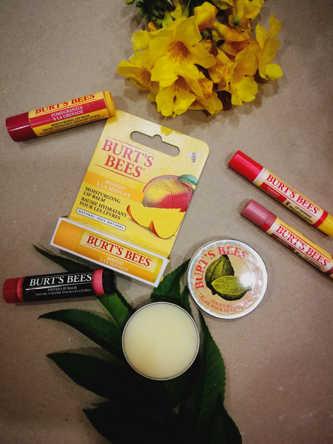 Burts  Bees Products