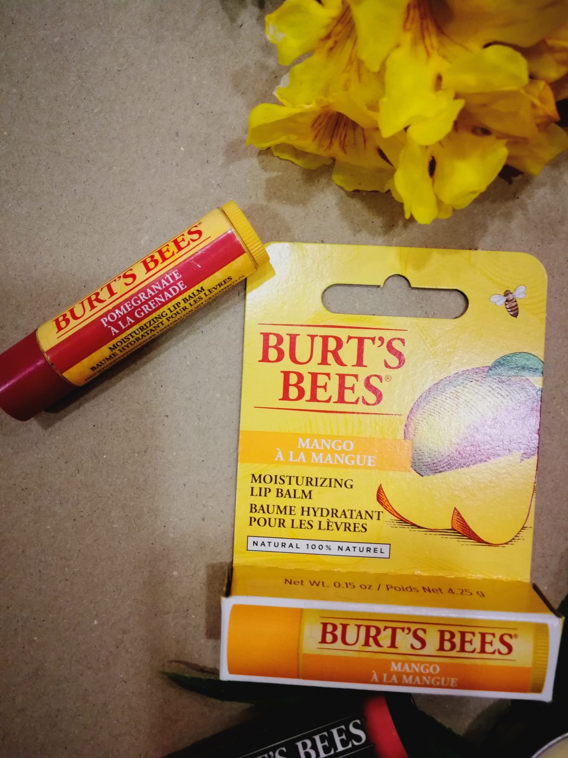 TLG Blog Burts  Bees