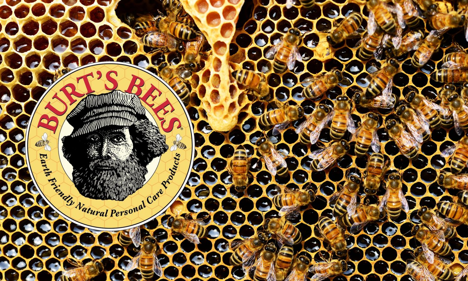 burts bees beyond business groups scaled